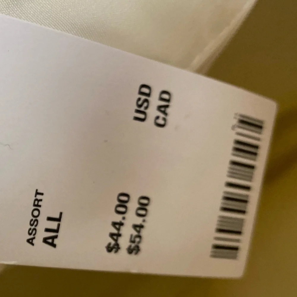NWT UO IRIDESCENT CREAM BACKPACK